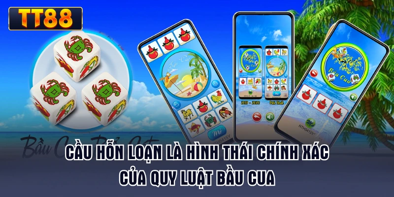 cau-hon-loan-la-hinh-thai-chinh-xac-cua-quy-luat-bau-cua