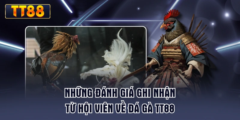 nhung-danh-gia-ghi-nhan-tu-hoi-vien-ve-da-ga-tt88
