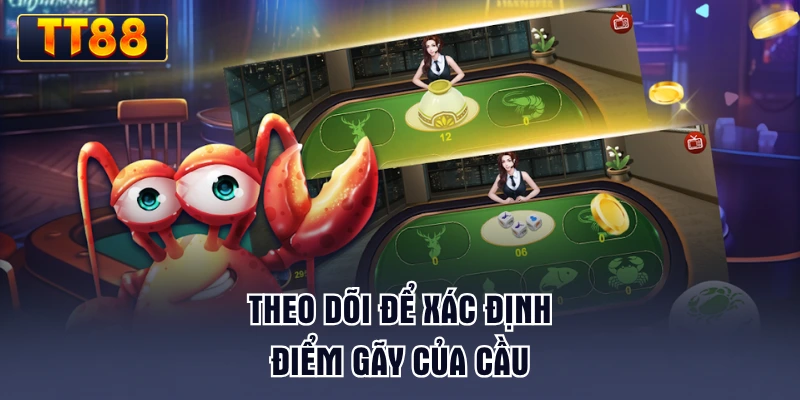 theo-doi-de-xac-dinh-diem-gay-cua-cau